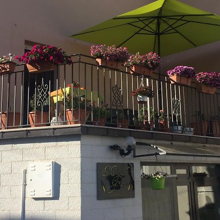 La Casa Dei Fiori Acomodação com café da manhã Montecilfone Exterior foto